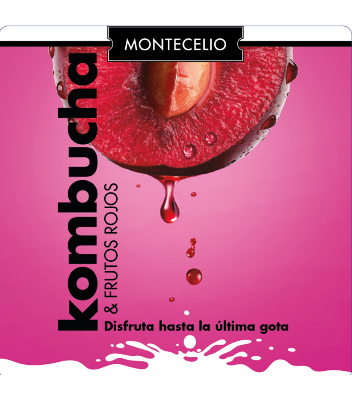 Kombucha Frutos rojos (pack 12 und)