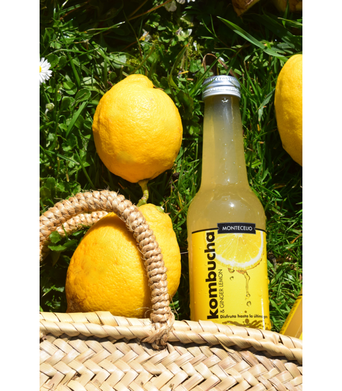 Kombucha Limón y jengibre (Pack 12 und)
