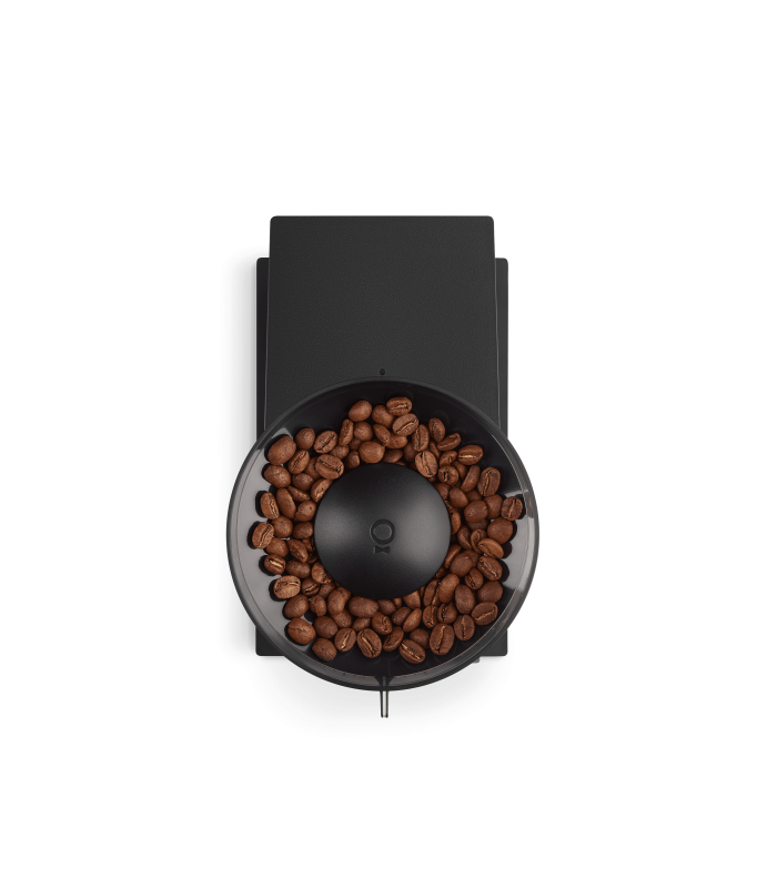 Fellow Molino Opus | Cafento Shop